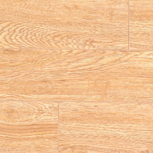 88080-2.jpg