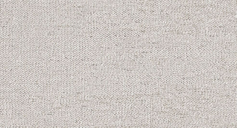 R-ARENA FABRIC
