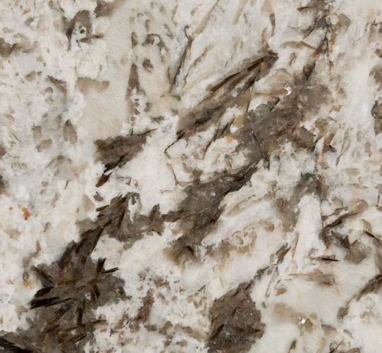 BIANCO ANTICO