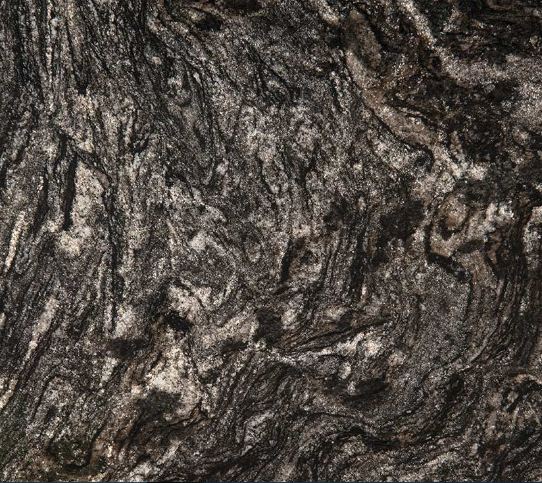 BLACK FOREST