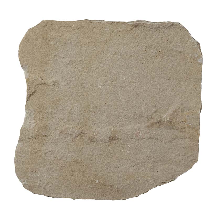 Fossil