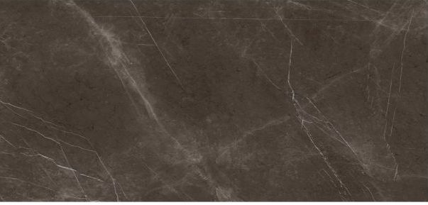 CT - PTRA GREY POLISHED