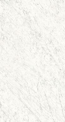 IR - VEINED WHITE
