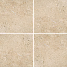 Porcelain Tile