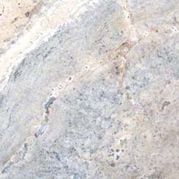 Porcelain Tile